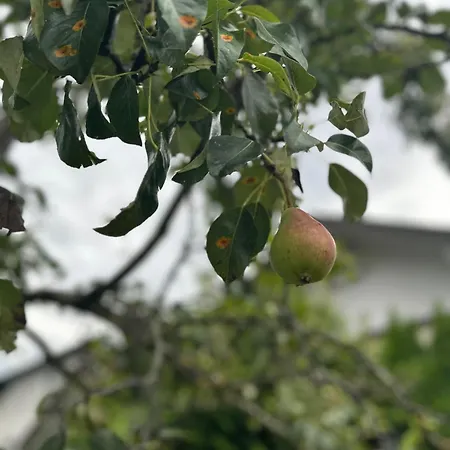 Dom wakacyjny Steinschloessl Mühldorf