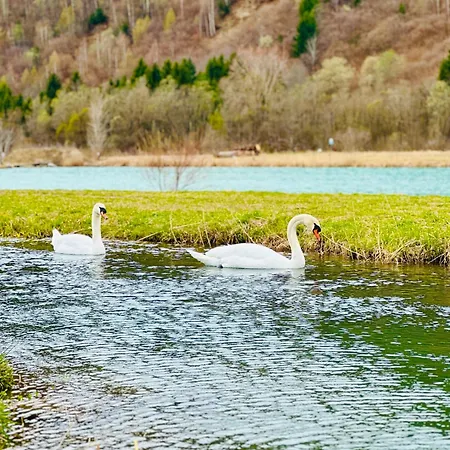 Steinschloessl Dom wakacyjny *