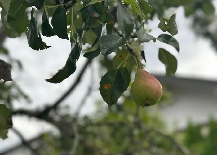 Dom wakacyjny Steinschloessl Mühldorf