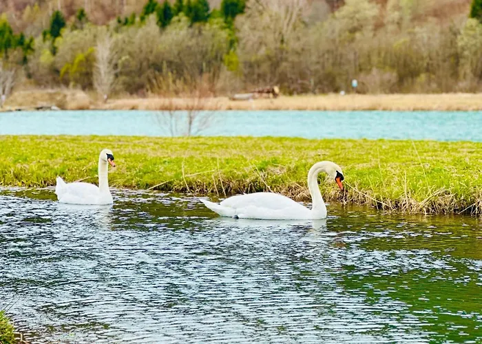 Steinschloessl Сasa de vacaciones *
